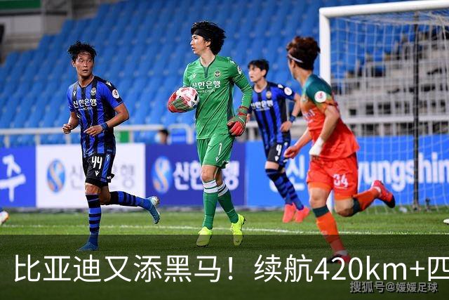 比亚迪又添黑马！续航420km+四轮独悬，还带激光雷达，6.59万起！